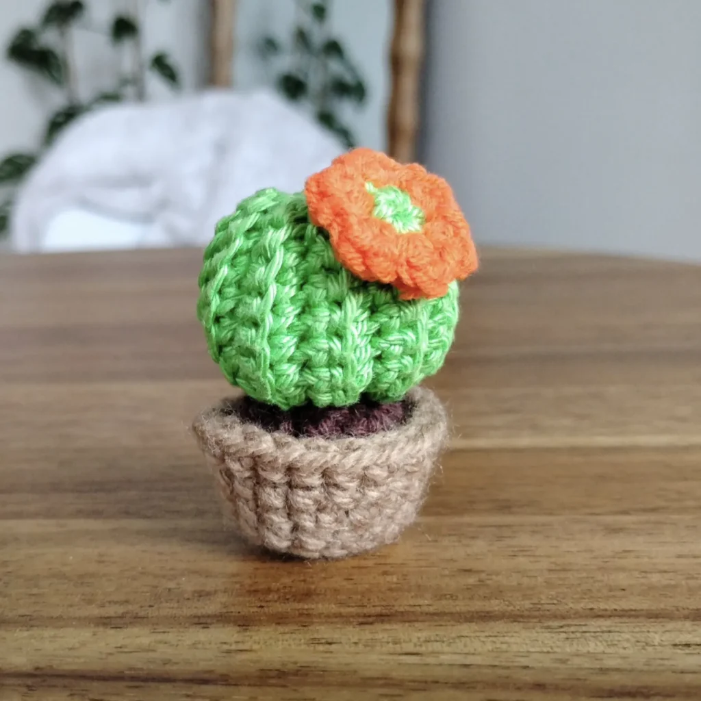 cactus thecrochetauntie