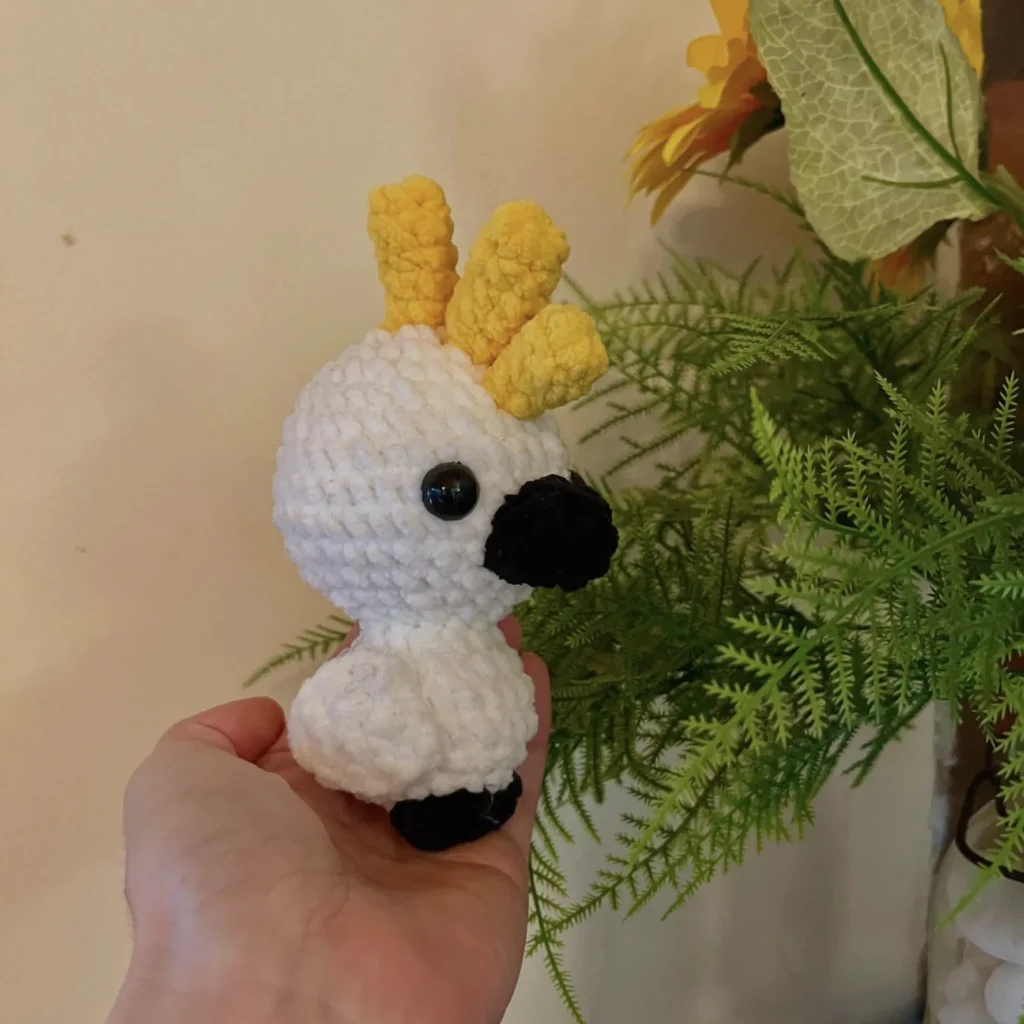 cockatoo damaris_variety